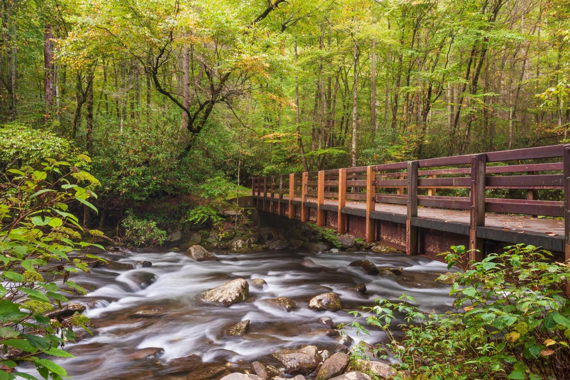 Maple Trails, Wifi, 1089 Free Tickets Each Paid Day, Dollywood And More Gatlinburg Exterior photo